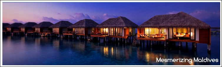 tour and travel companies in india